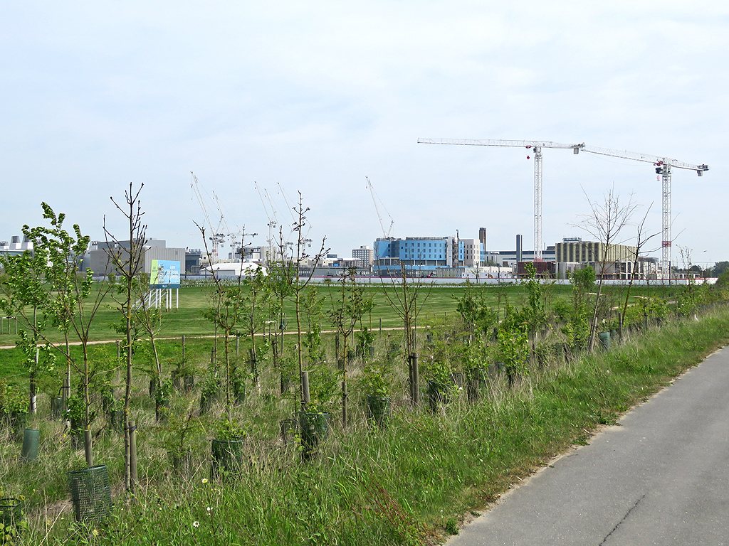Addenbrooke Park