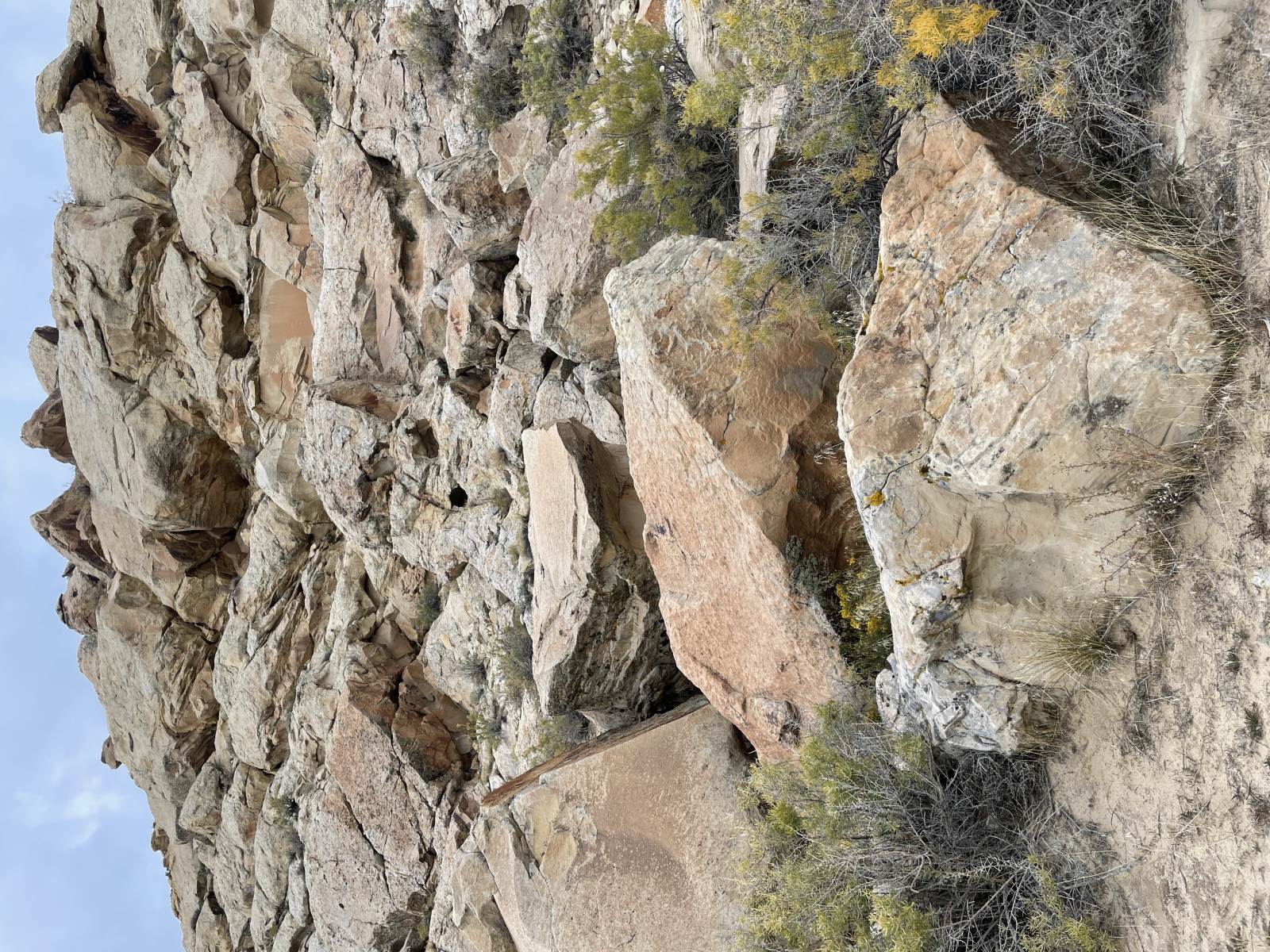 Dinosaur National Monument