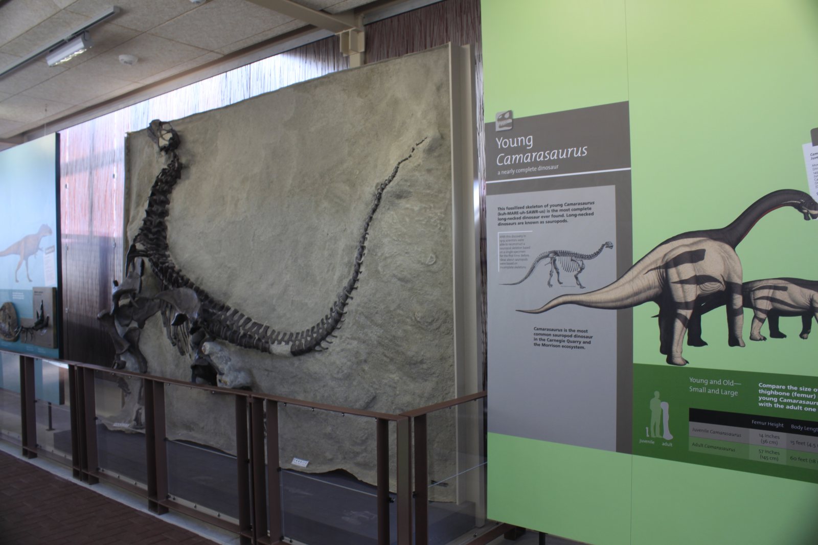 Quarry Exhibit Hall