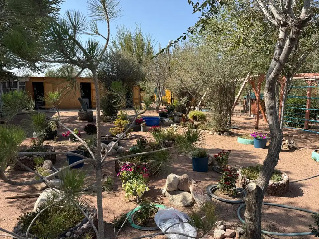 Camping_issykul_kg