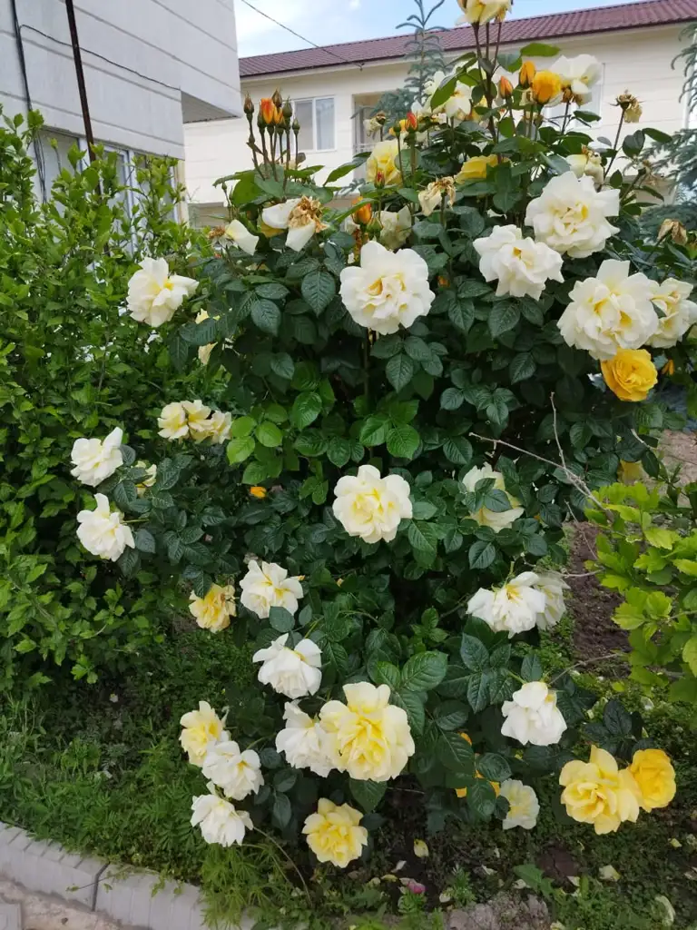 Таунхаус на 6 человек