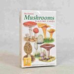 Pack of Heritage The famous Mushrooms playing cards shown in the cardboard box that they come in.