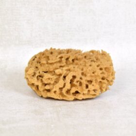 Natural Sea Sponge, 11-12 cm