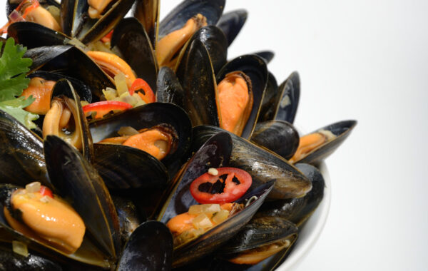 Chermoula Mussels Recipe