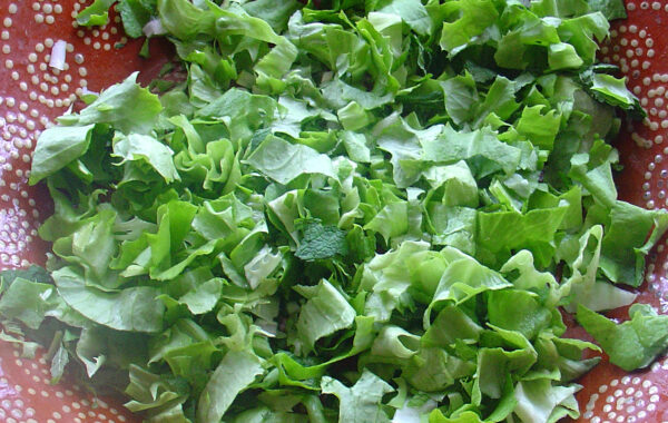 Yorkshire Salad Recipe