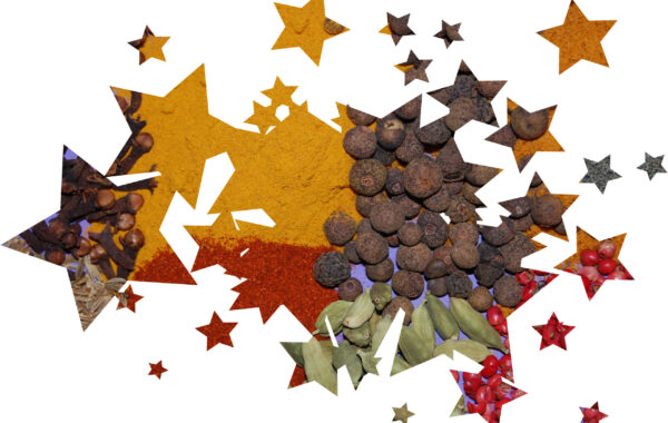 Christmas Turkey Curry Recipe