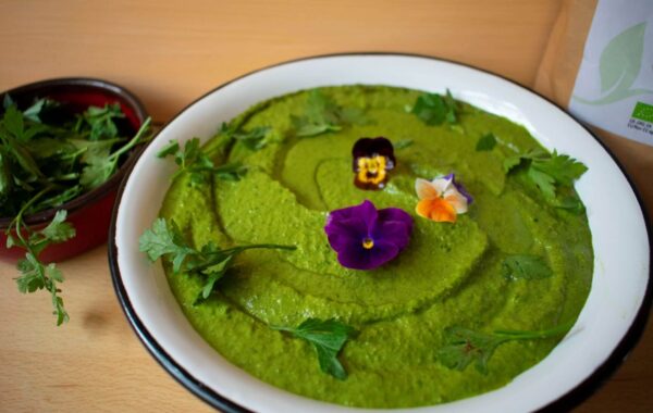 Easy Vegan Pesto Recipe