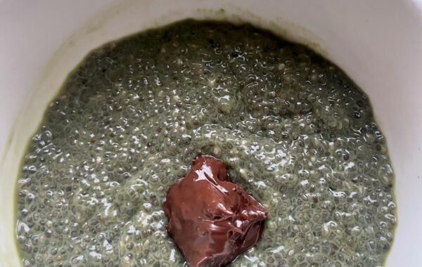 Vegan Matcha & Chocolate Chia Pudding
