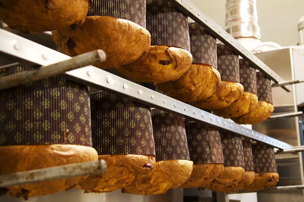 
            Italian caught trying to smuggle 66 panettones across Swiss border
        

An Italian