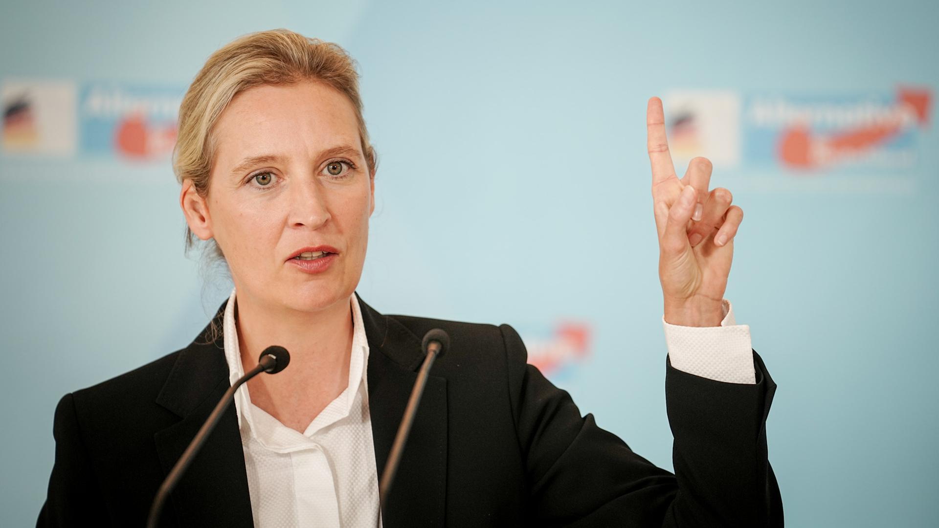 Predsedn&iacute;čka AFD Weidel priamo hovor&iacute;: nebudeme tolerovať n&aacute;silie migrantov