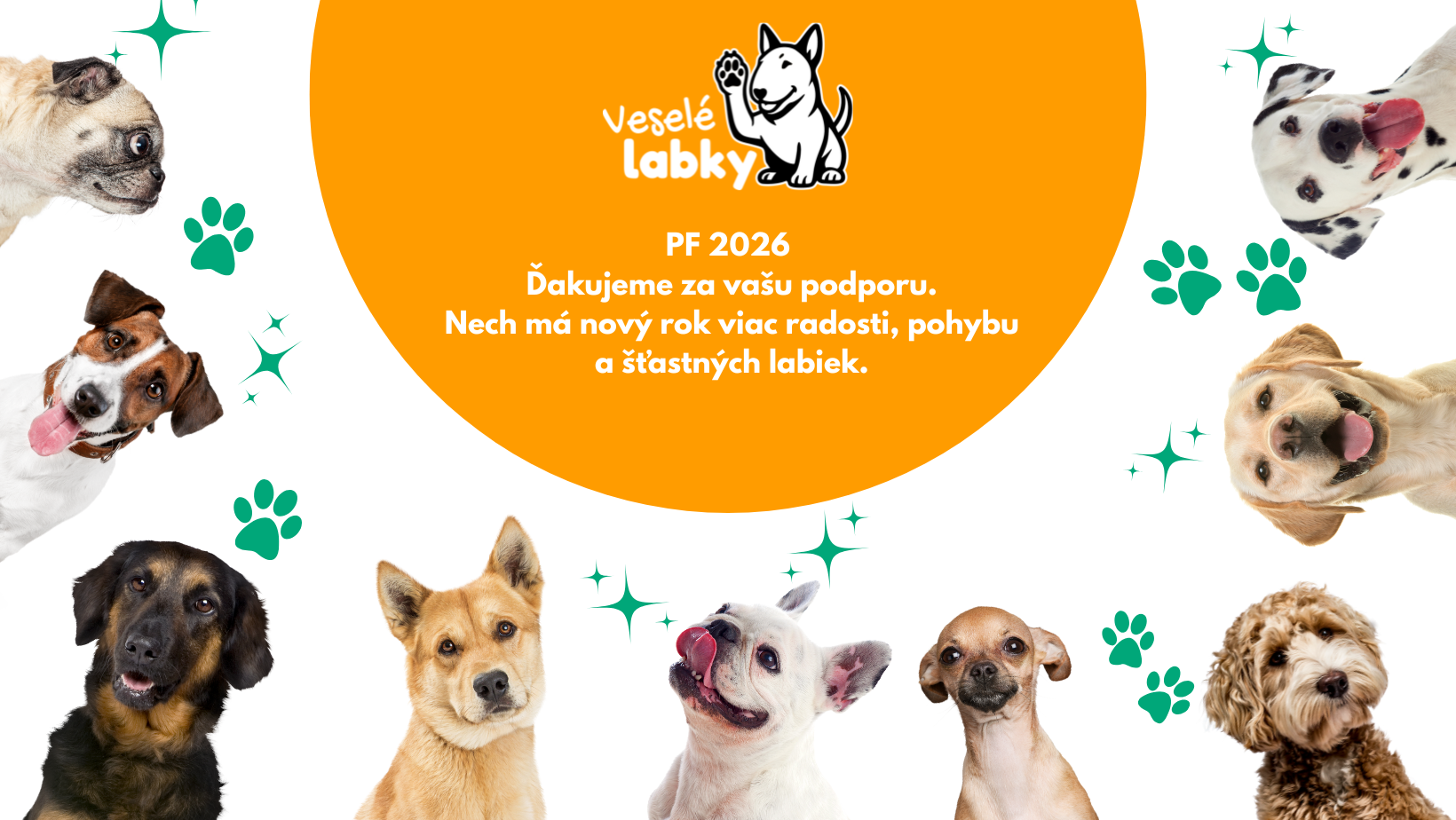 Rok 2025 n&aacute;m uk&aacute;zal, že aj mal&eacute; kroky dok&aacute;žu priniesť veľk&eacute;