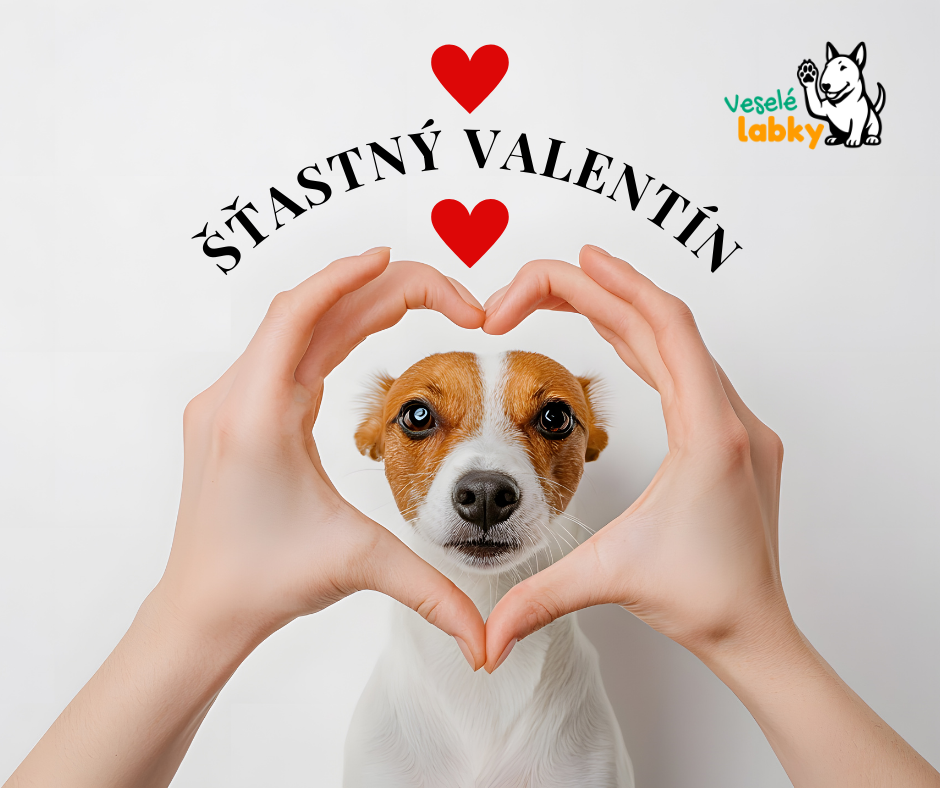 ❤️🐾 &Scaron;ťastn&eacute;ho Valent&iacute;na z Centra Vesel&eacute; labky! 🐾❤️

L&aacute;ska