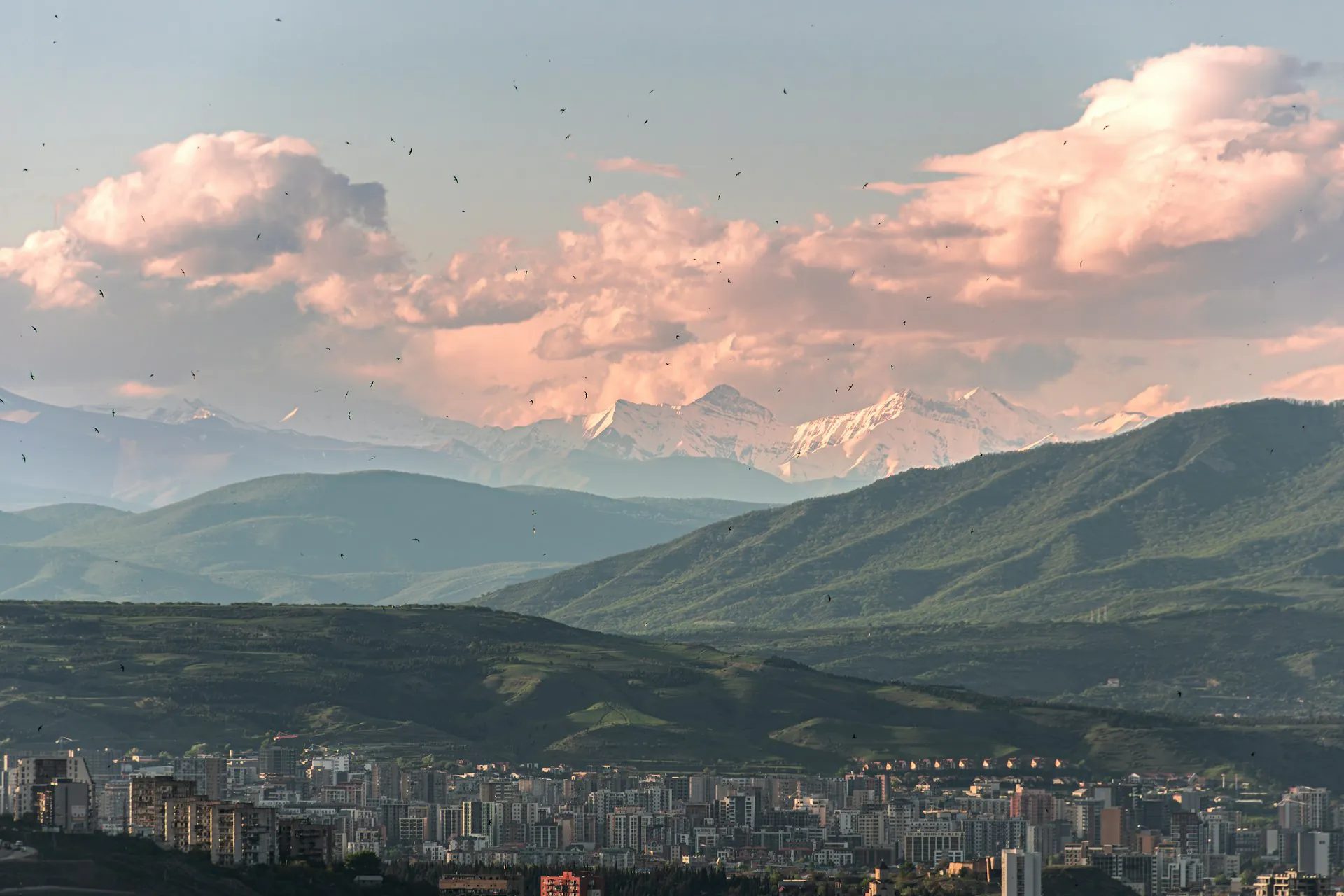 ერთოთახიანი ბინის დაქირავება თბილისში — ფასები და რჩევები | Unlim.ge