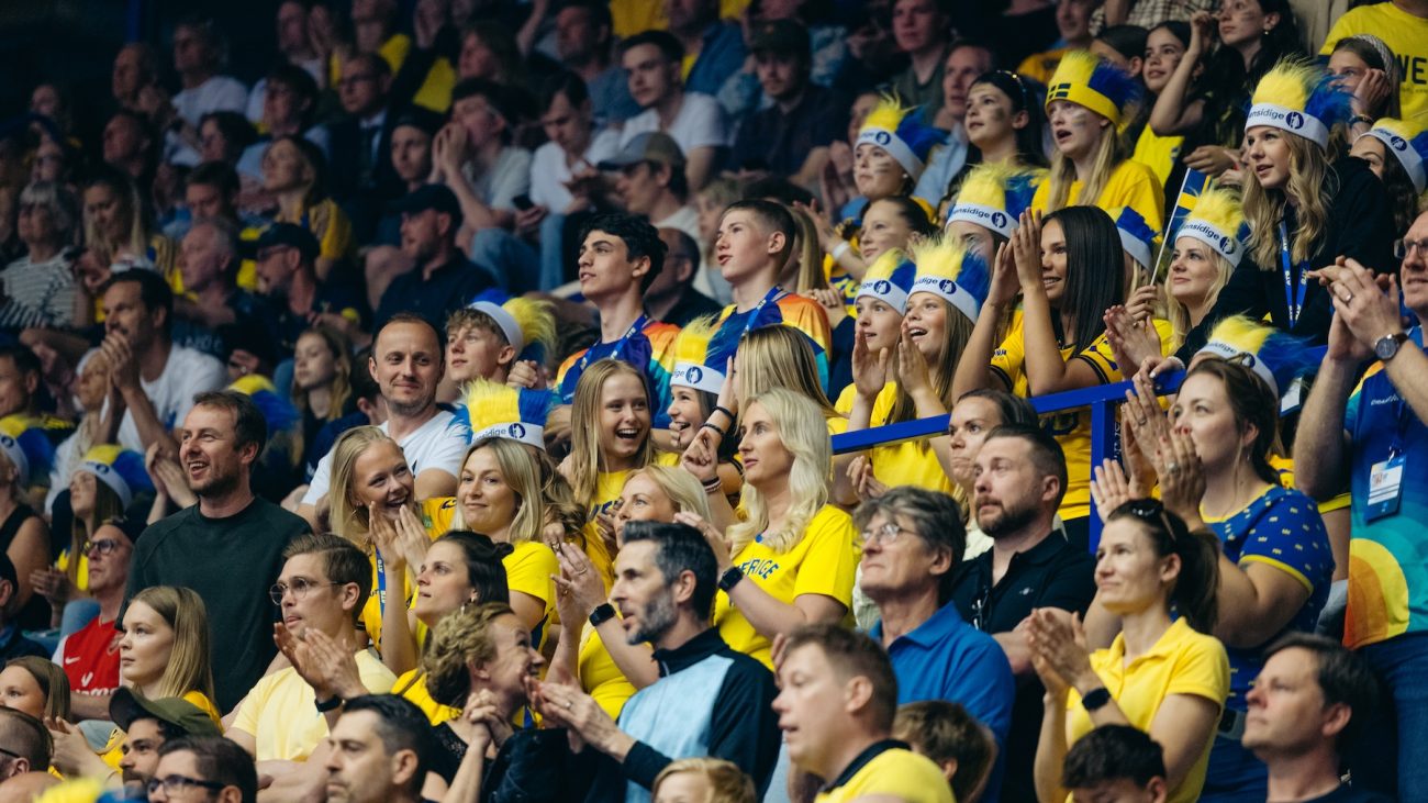 Evenemangsbesökaren