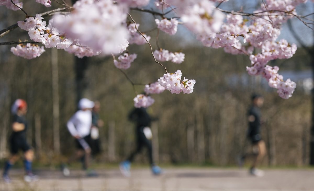Naturen som träning 