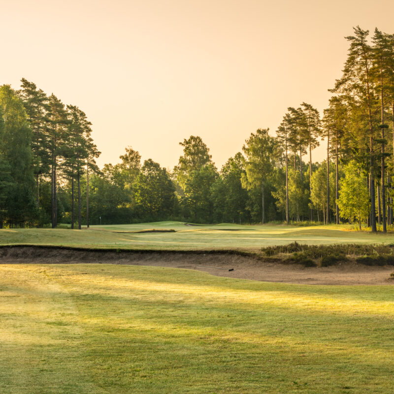 Spela golf i hjärtat av Småland