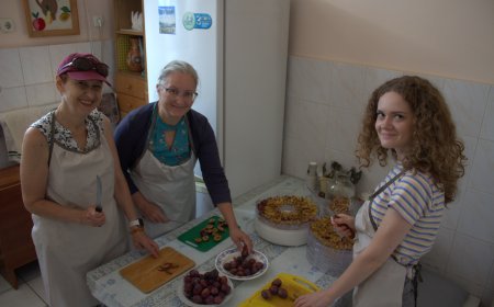 Когда урожай становится помощью: продолжается проект “Витамины с грядки”