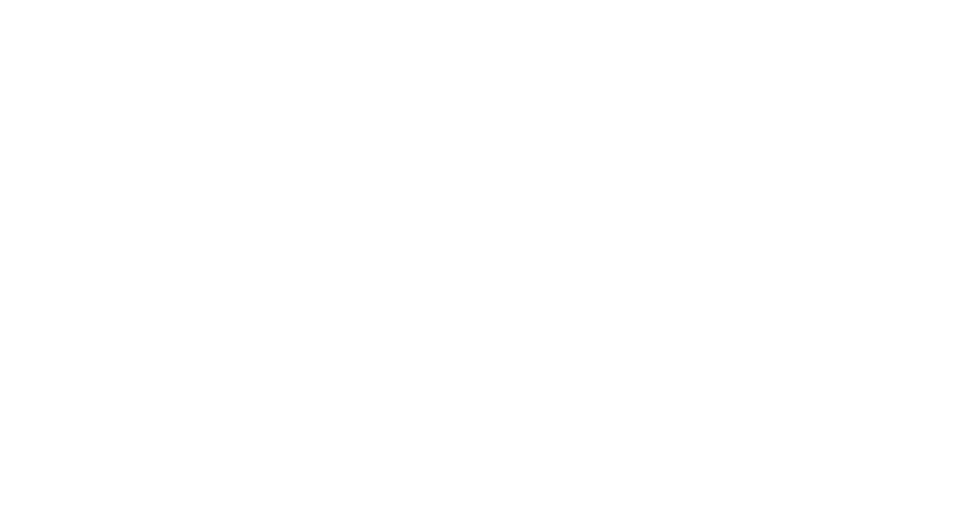 wolowo-Logo