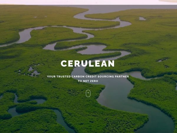cerulean.earth logo