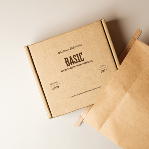 Basic Shared WordPress Web Hosting