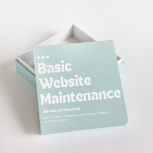 Basic Website Maintenance plan