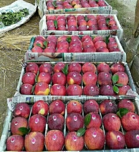 Safal Red Apples 500 g