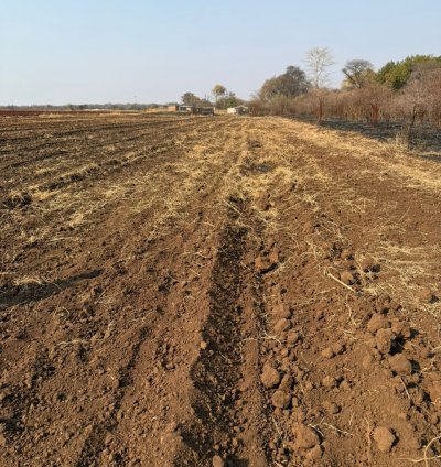 Farms and plots with title deeds