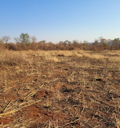 Farms and plots with title deeds