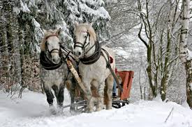 Wyjazd – Szklarska Poręba z kuligiem 20.02.2021 r.